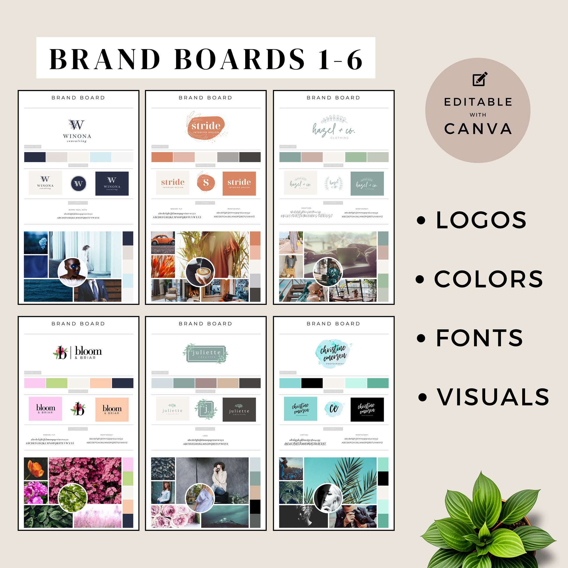 Branding Boards, Toolbox, Logo Design and Brand, Logos, Visual Identity pack, color palette, colors, graphics, Business elements, tools, kit